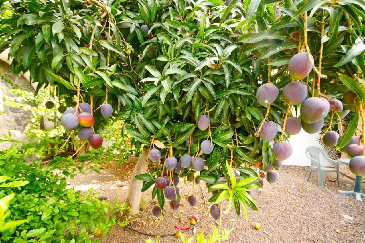 Finca Gerardo Miraflor La Playa de la Calera Extérieur photo