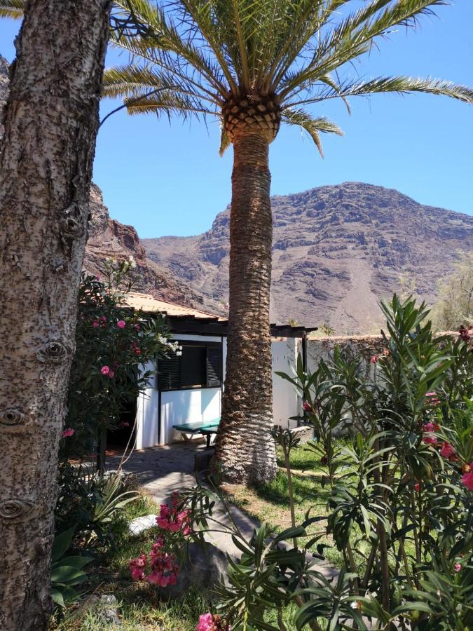 Finca Gerardo Miraflor La Playa de la Calera Extérieur photo